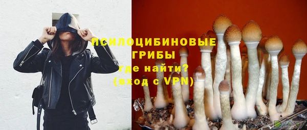 2c-b Вяземский