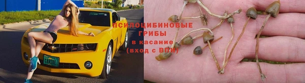 эйфоретик Вязьма