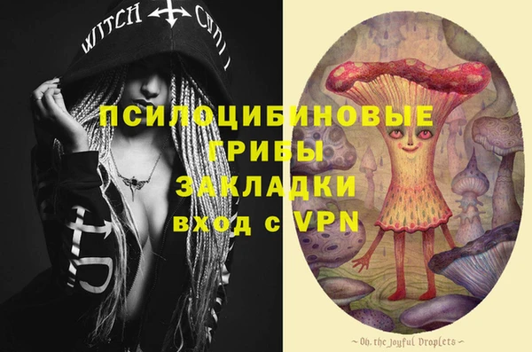 мдпв Горно-Алтайск