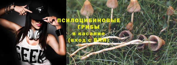 эйфоретик Вязьма