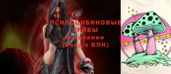 таблы Горняк